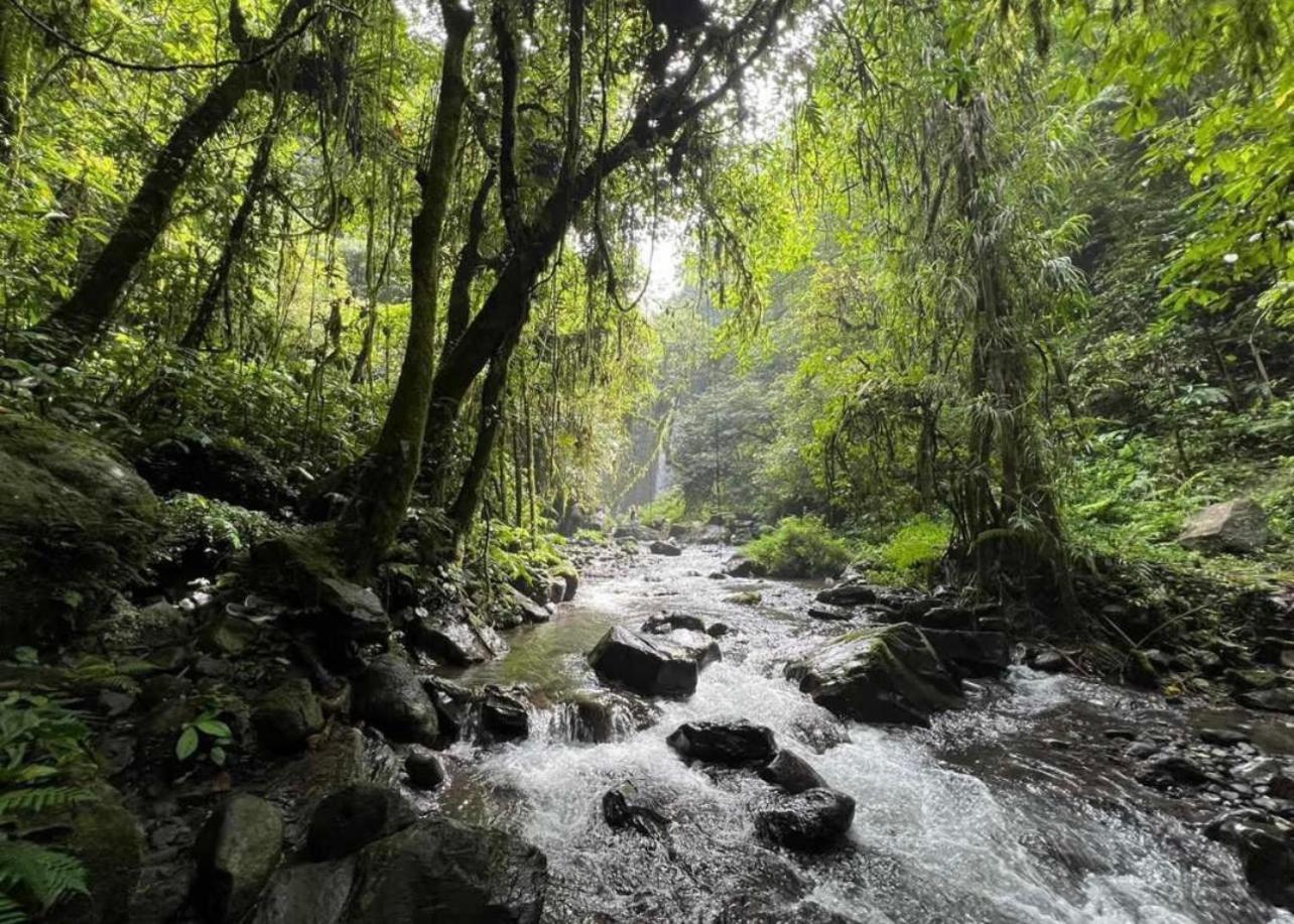 Opik Homestay Tete Batu Tetebatu Exteriör bild