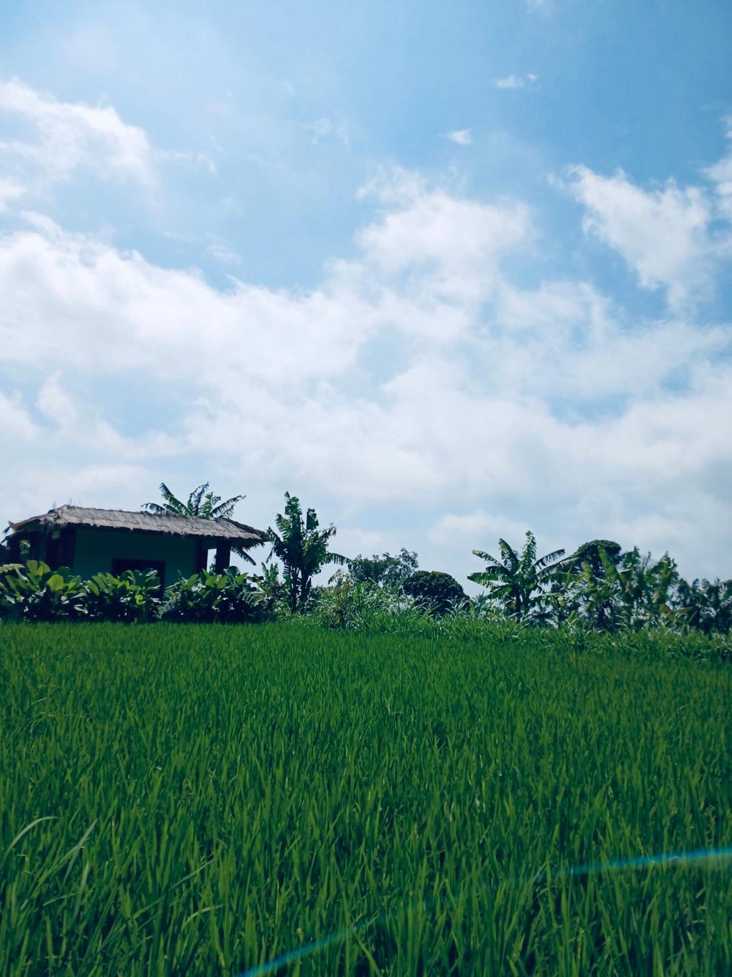 Opik Homestay Tete Batu Tetebatu Exteriör bild