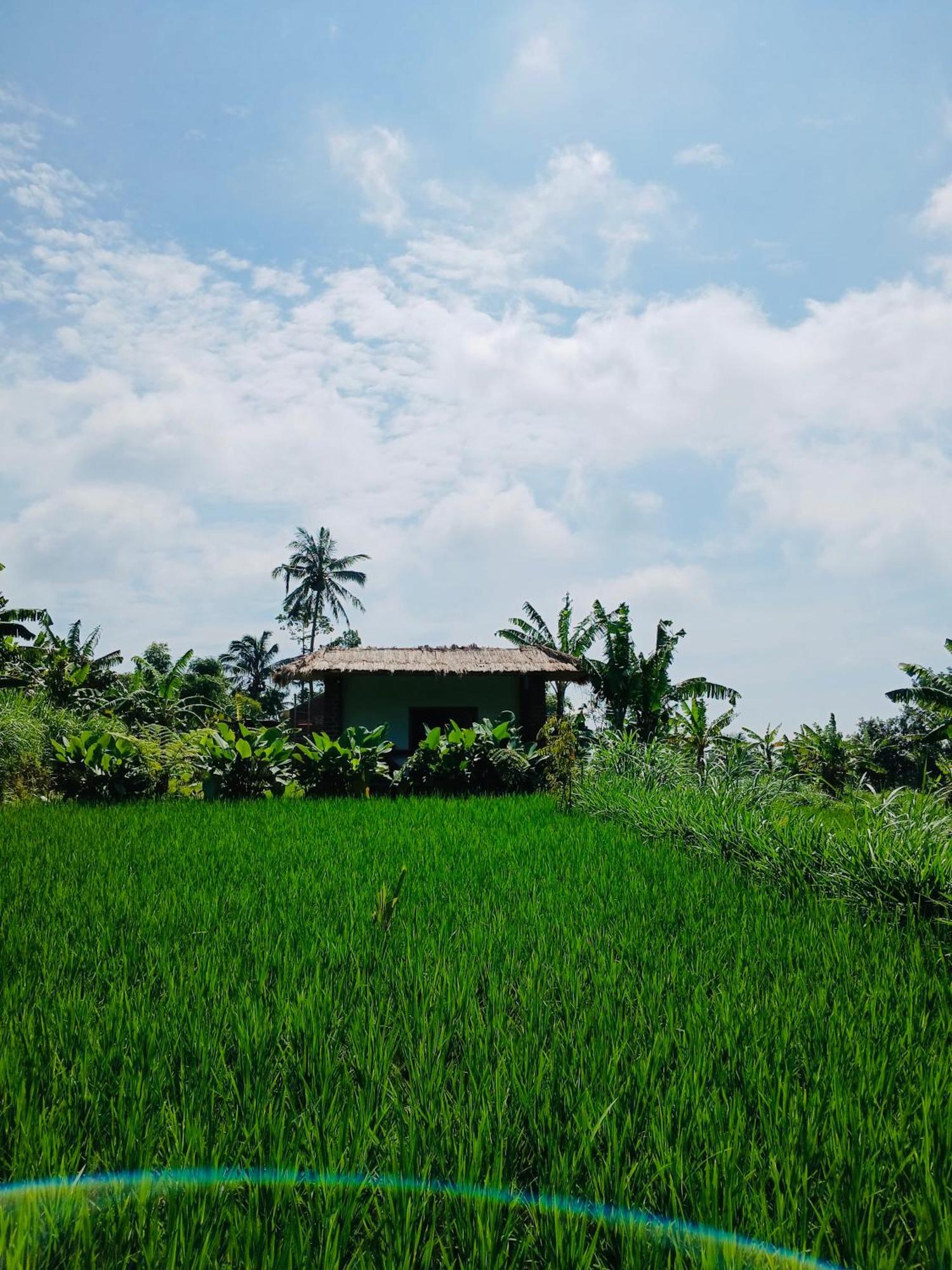 Opik Homestay Tete Batu Tetebatu Exteriör bild