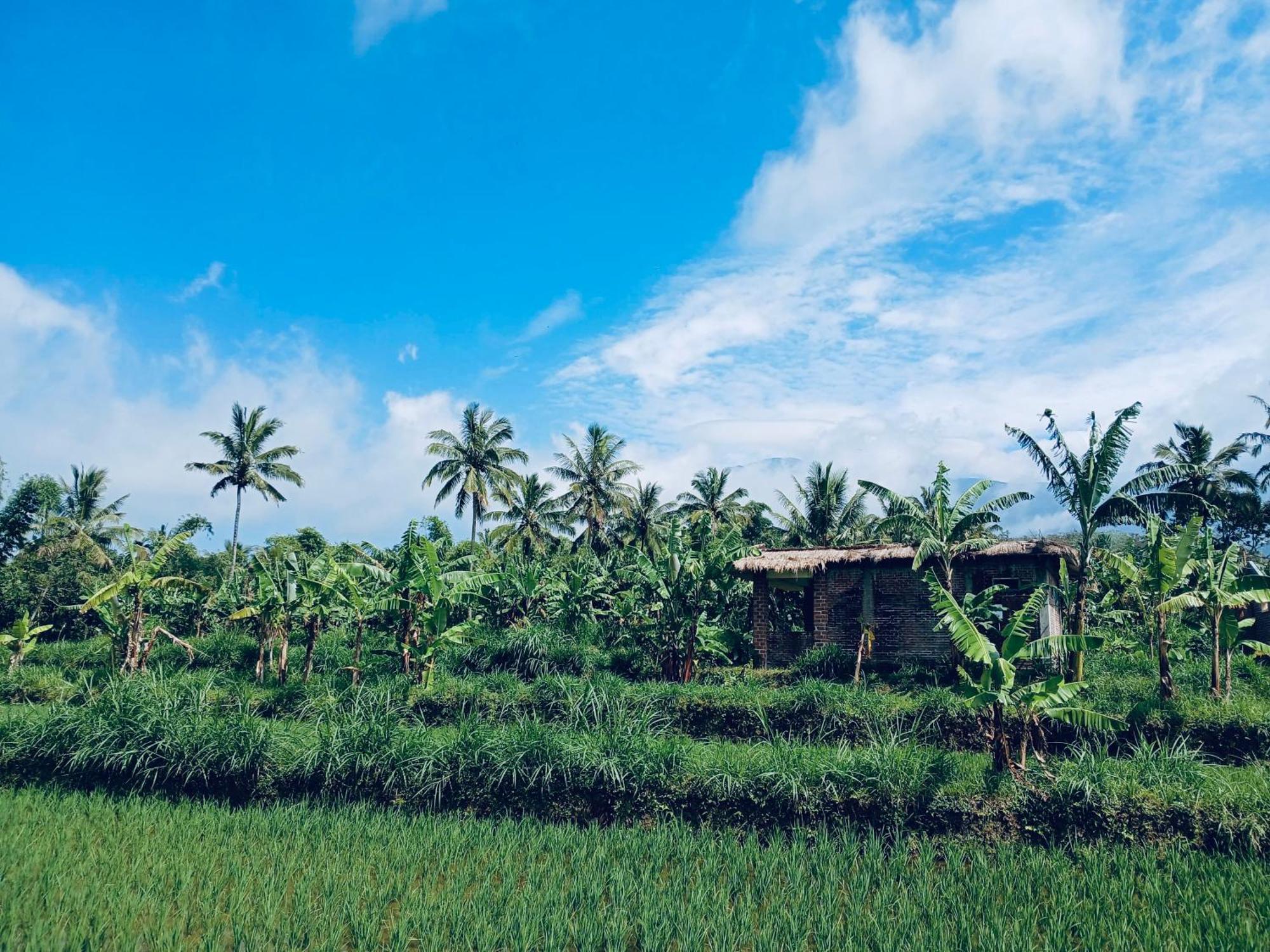 Opik Homestay Tete Batu Tetebatu Exteriör bild